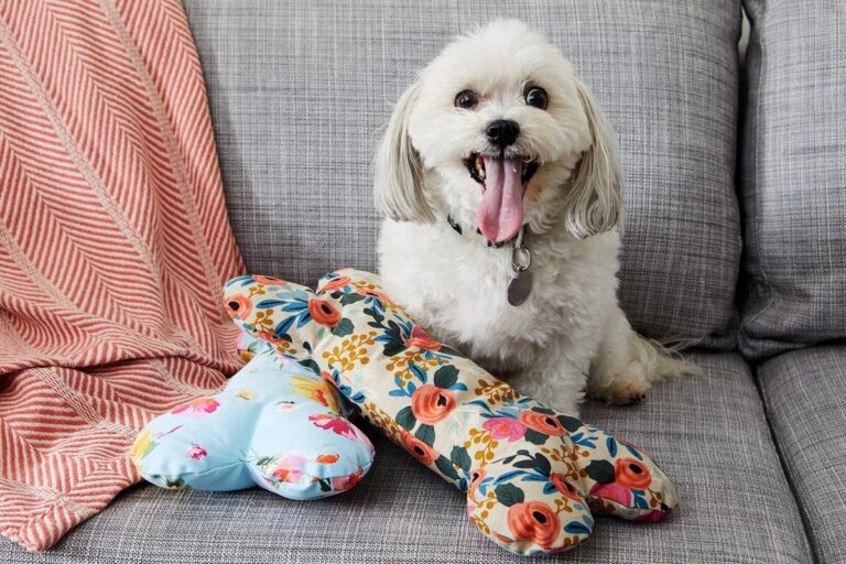 Crafting Comfort: DIY Pet Haven Creations