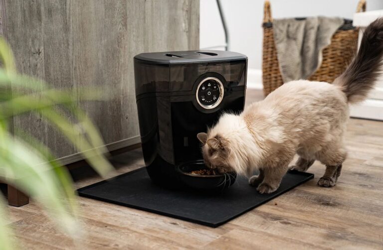 The Ultimate Guide to Automatic Pet Feeders: Keep Your Furry Friends Happy and Healthy!